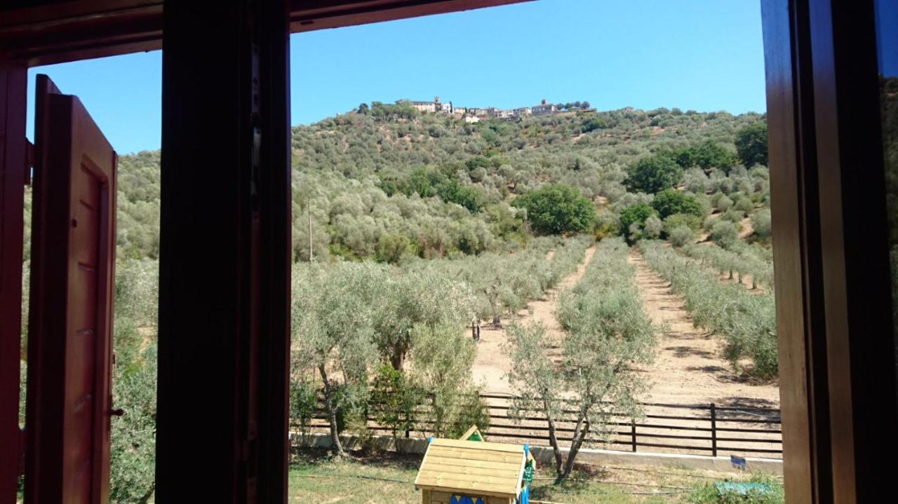 Bed and Breakfast Il Barbagianni Montepescali Екстер'єр фото