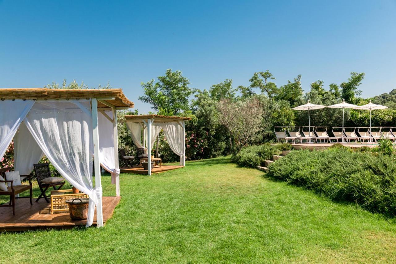 Bed and Breakfast Il Barbagianni Montepescali Екстер'єр фото